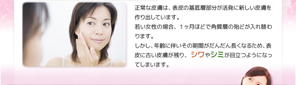 正常な皮膚は、表皮の基底層部分が活発に新しい皮膚を作り出しています。 若い女性の場合、1ヶ月ほどで角質層の殆どが入れ替わります